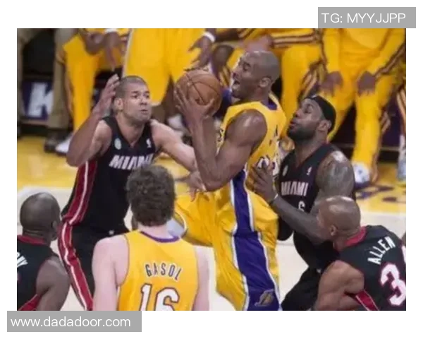 深入分析杭州排球队包夹战术的特点与应用策略